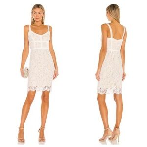 New! Heartloom Adora eggshell white lace sheath dress nwt 37413